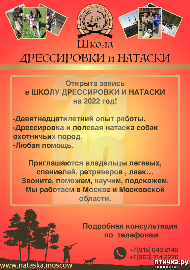 фото 1: Дрессировка и натаска