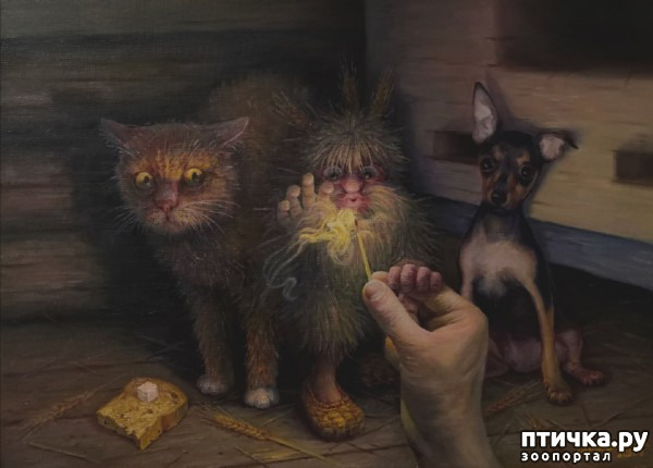  11:  