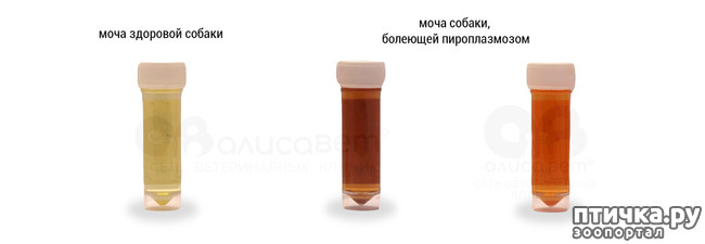  3:   