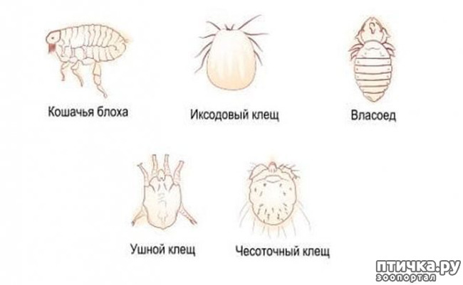  8:   