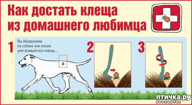  7:   