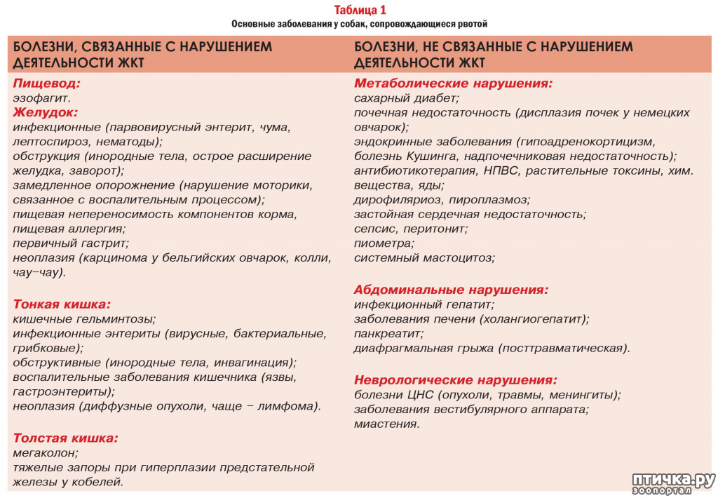 Заболевания сопровождающиеся рвотой