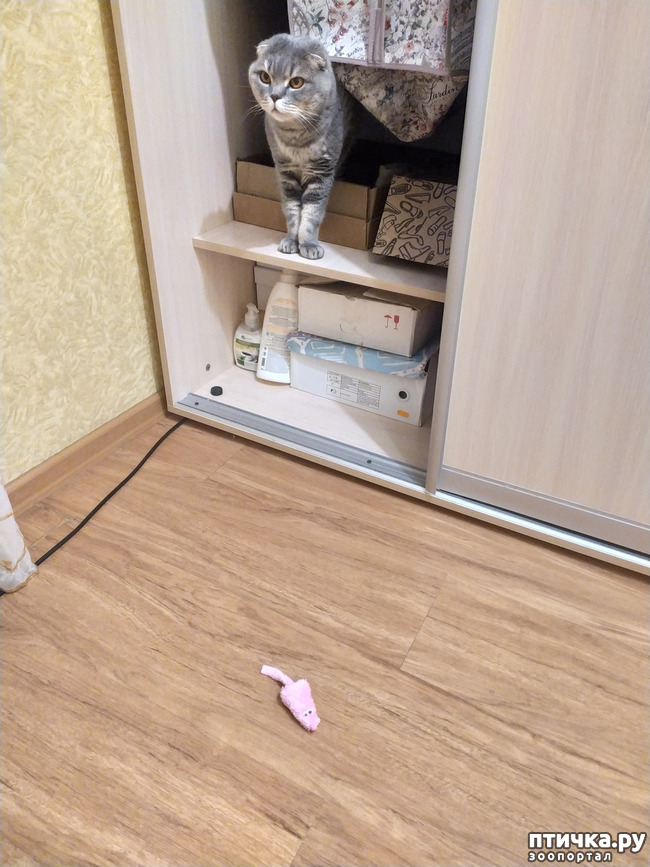  2: .  