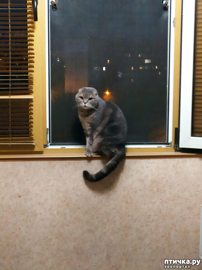  4: .  