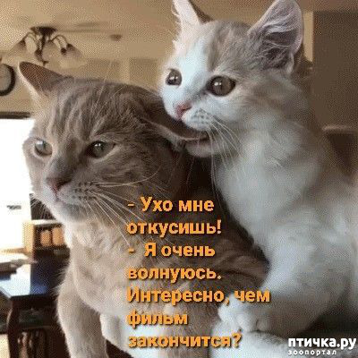  2: 