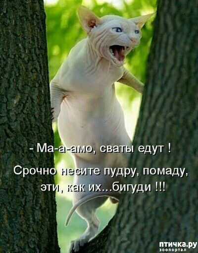 7: 