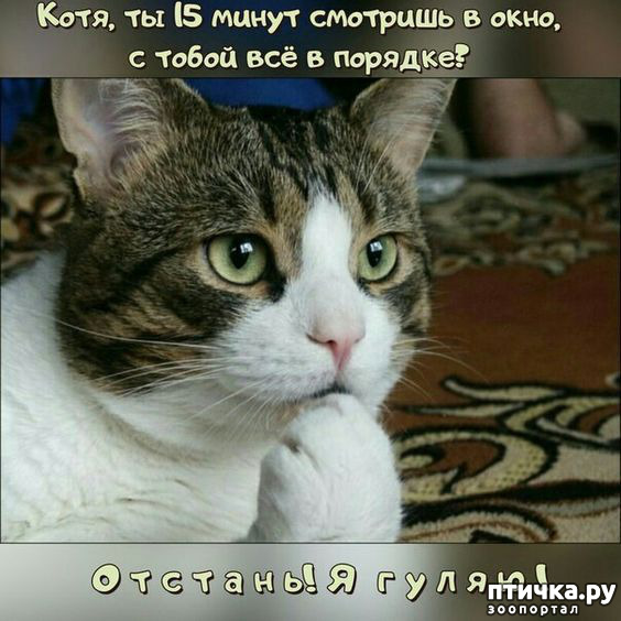  8: 