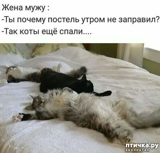  10: 