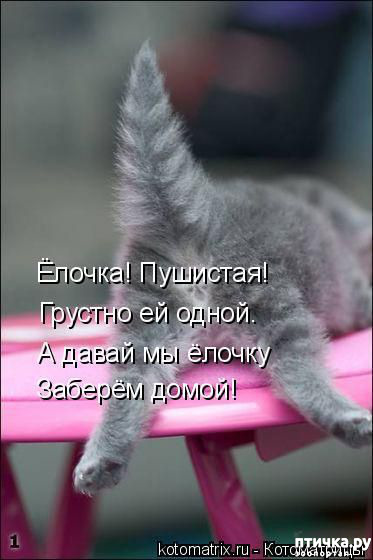  11: 