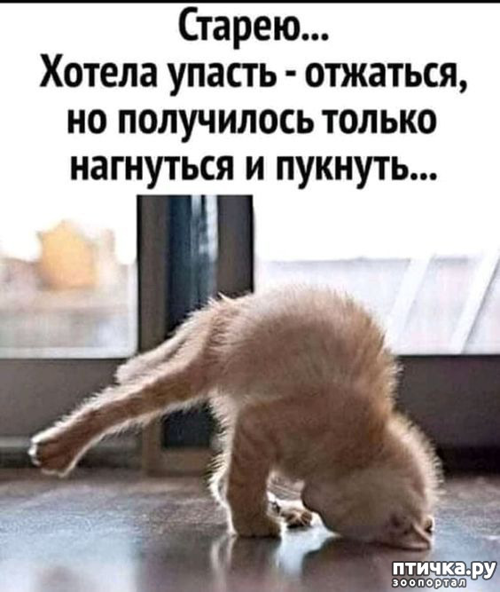  12: 