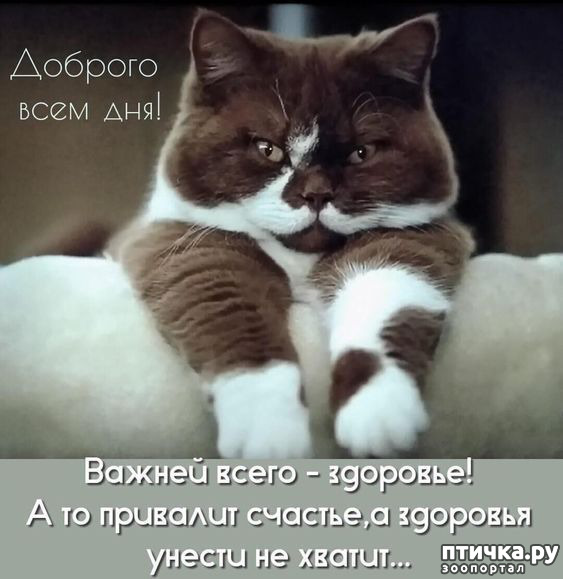  14: 
