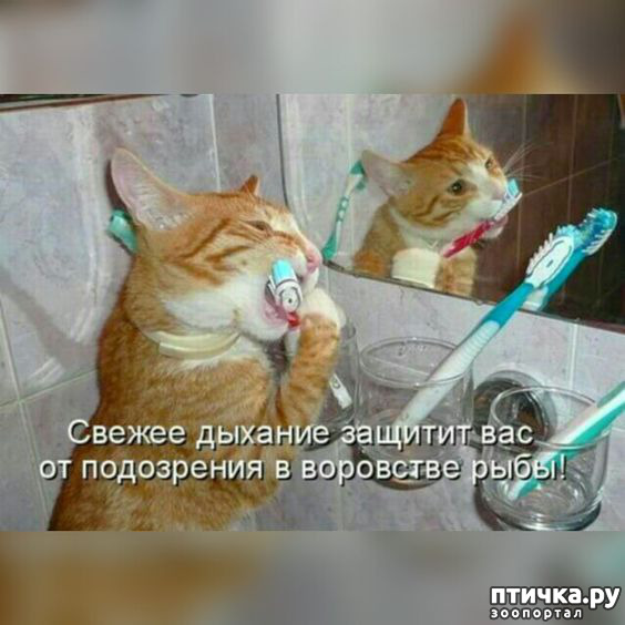  16: 