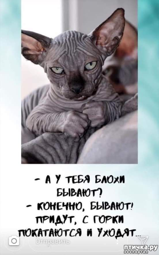  17: 