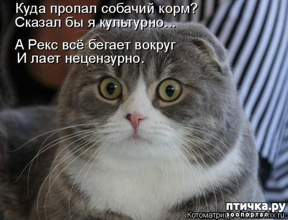  19: 