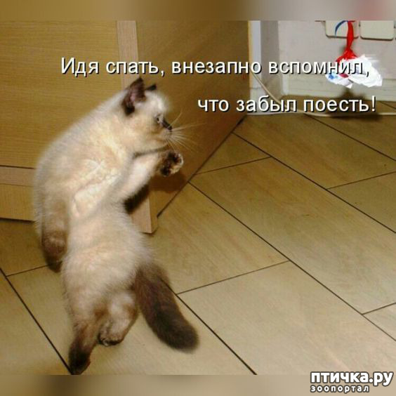  20: 