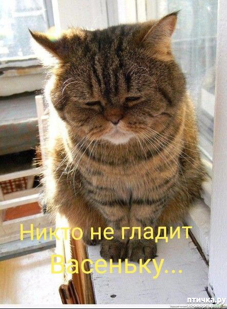  21: 