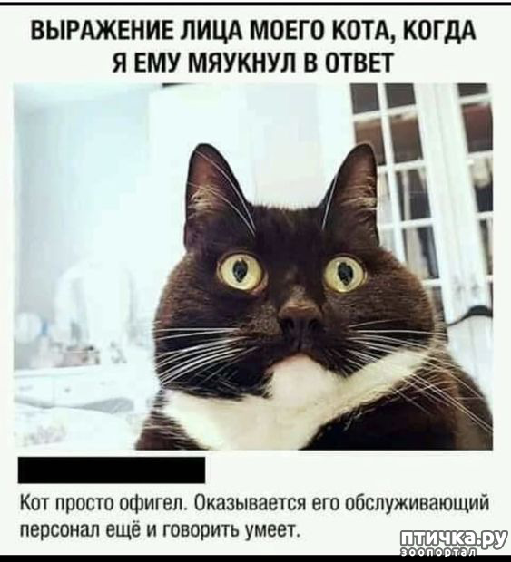  22: 