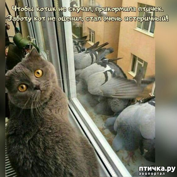  24: 