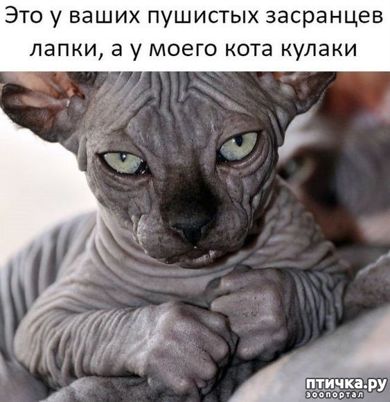  26: 