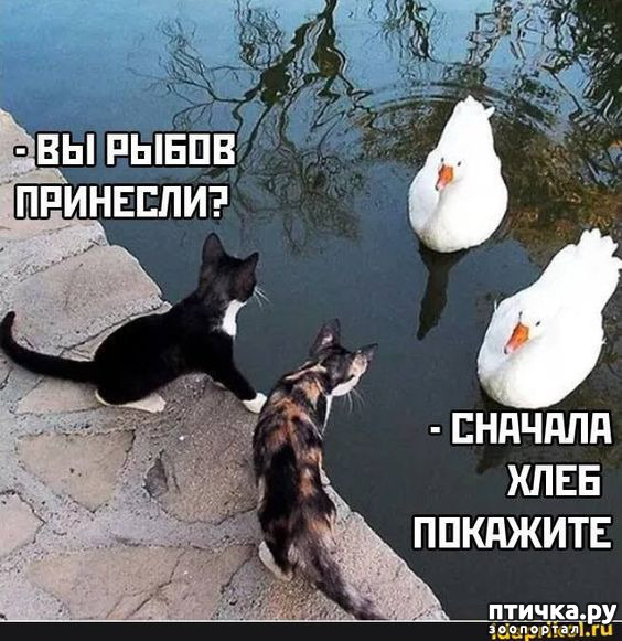  27: 