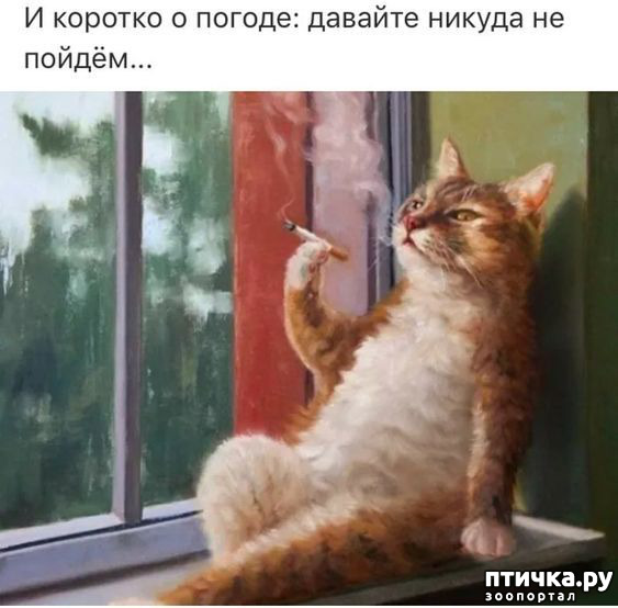  28: 