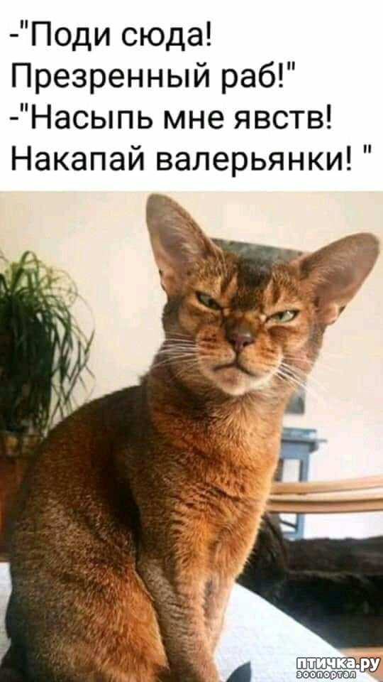  29: 