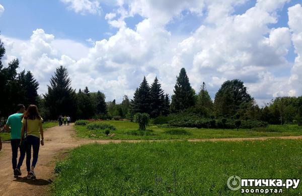 фото 4: Давайте путешествовать вместе. Тираспольский ботанический сад.