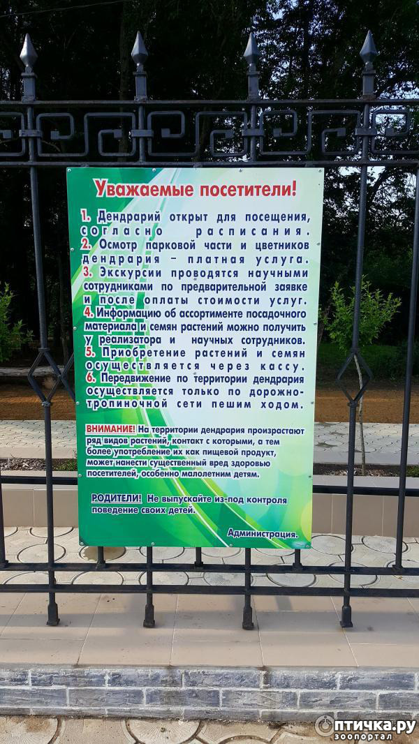 фото 6: Давайте путешествовать вместе. Тираспольский ботанический сад.