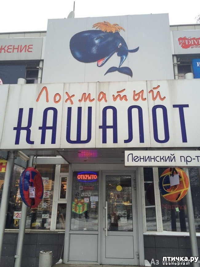  1:  