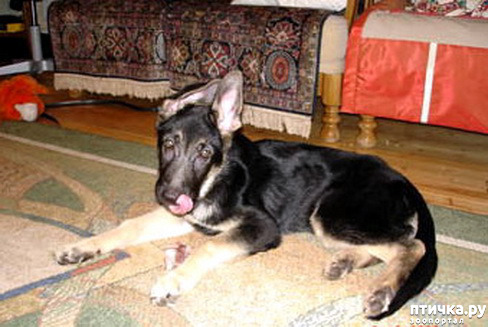  2:  