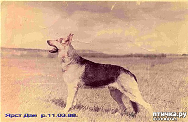  5:  