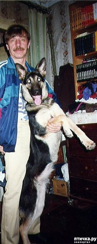 10:  