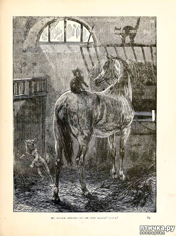  5:    