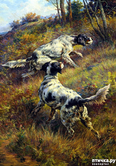  12:    