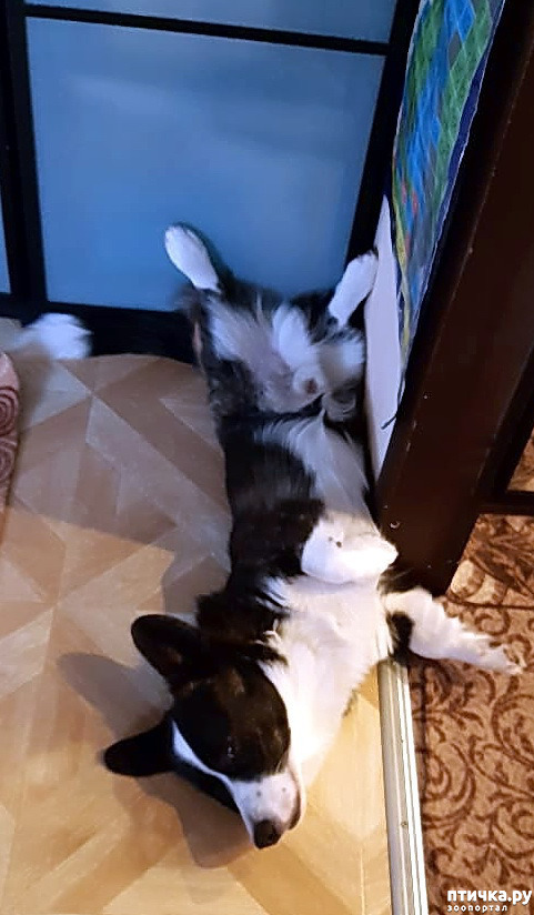  8:   . .