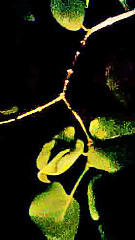  2:   .