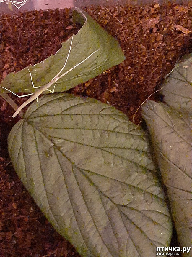  3:  