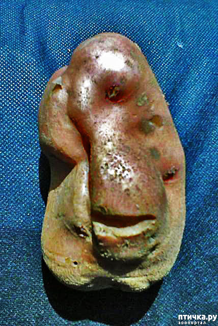  9:   .