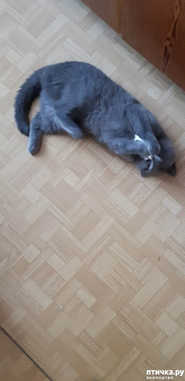  7: . 