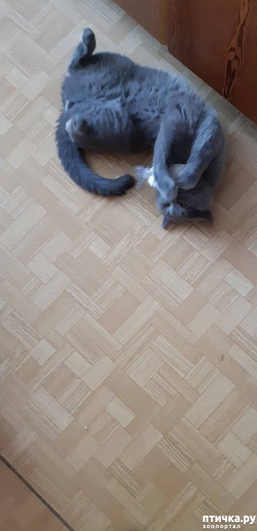  8: . 