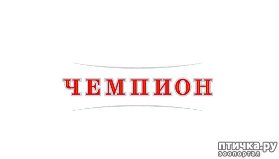  16: 