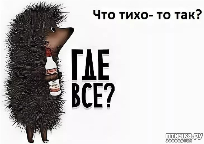  1:    !