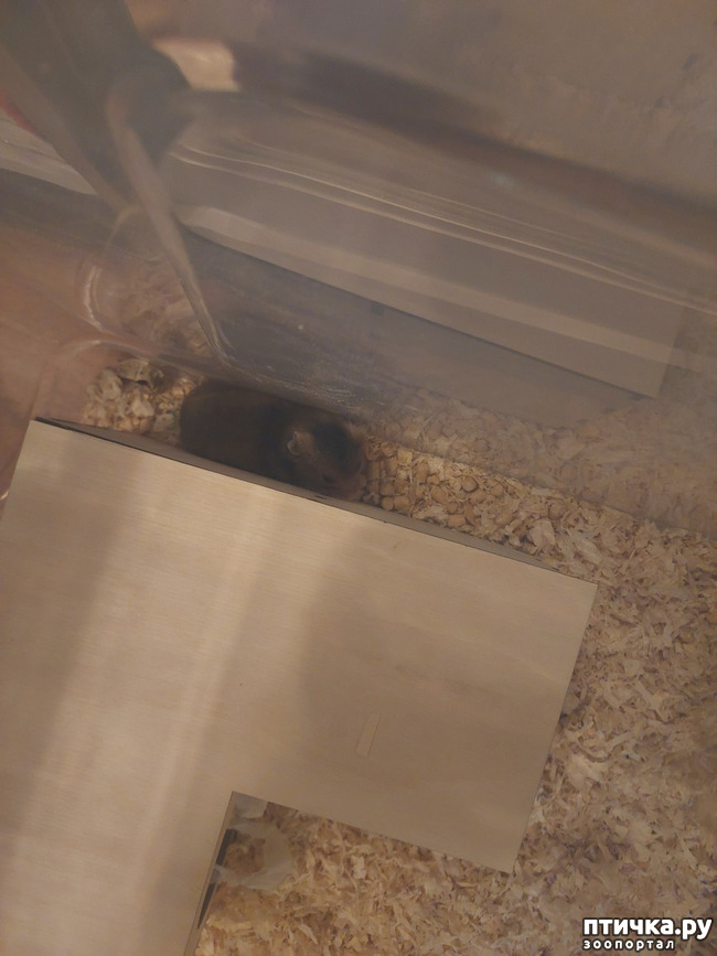  1:  