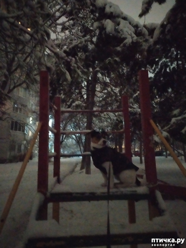  11:   