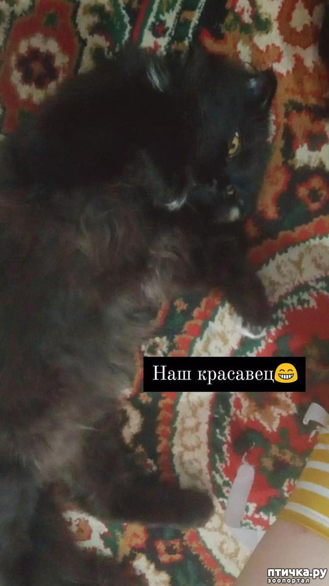 1:    
