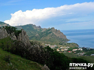 фото: Самая мистическая Гора Крыма.
