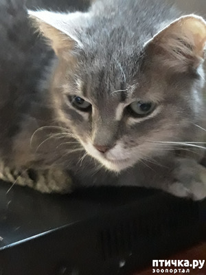 :   ""