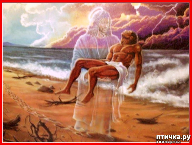  1: 