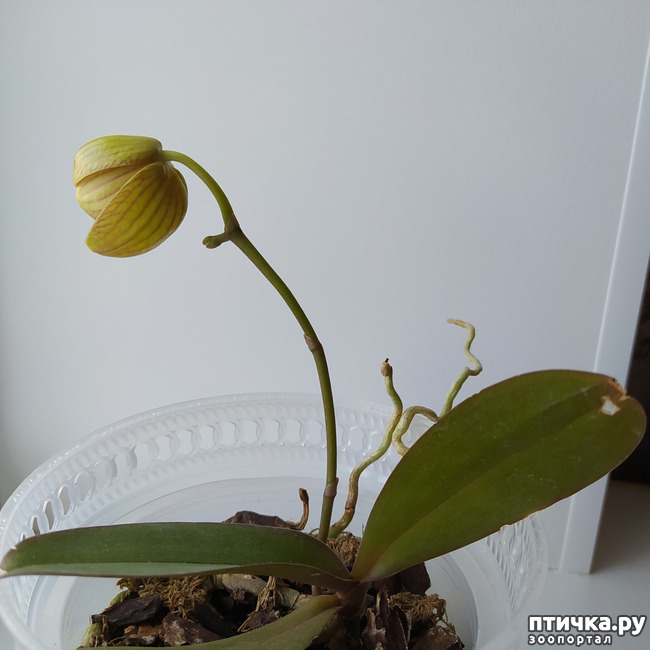  6:  