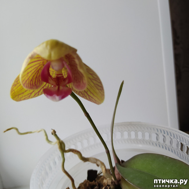  8:  